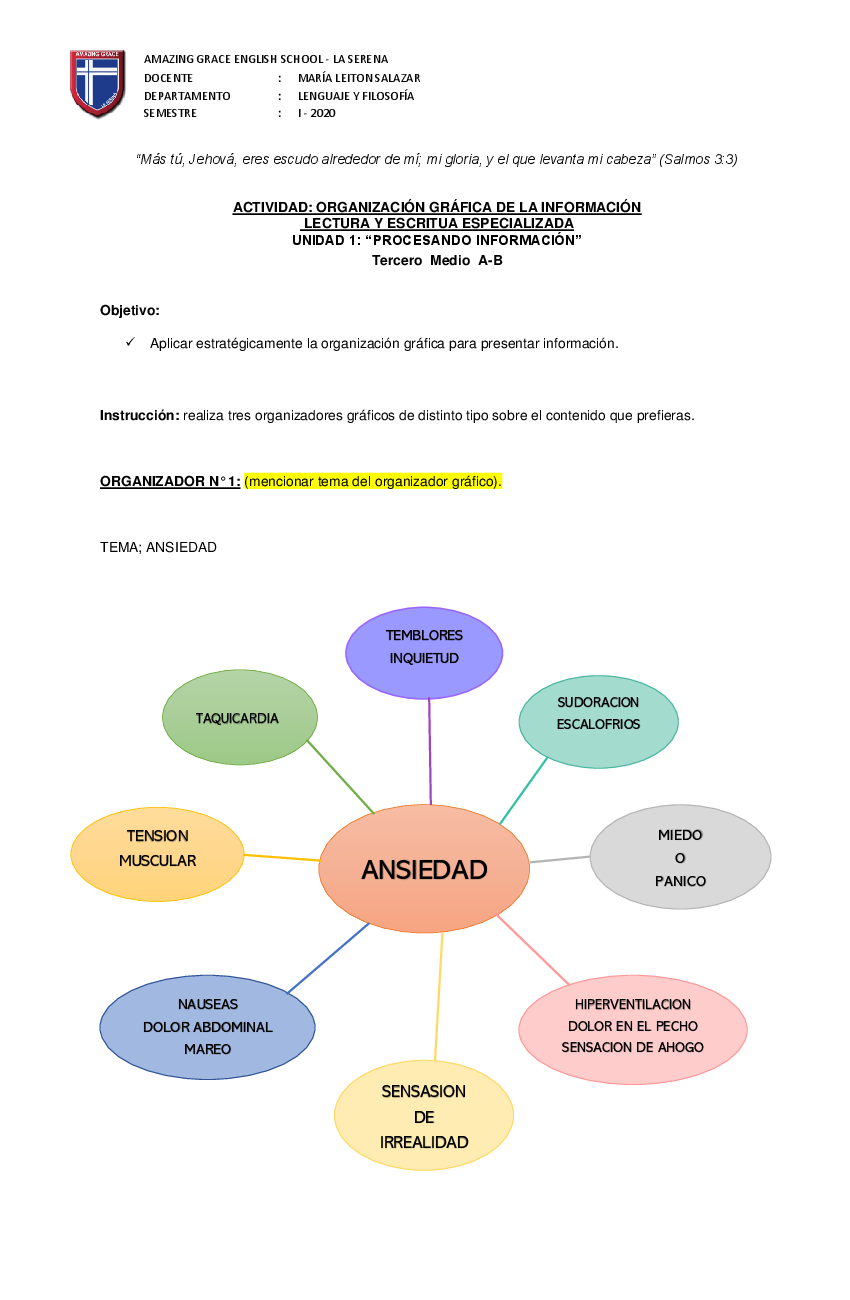 ORGANIZADOR GRAFICO pdf