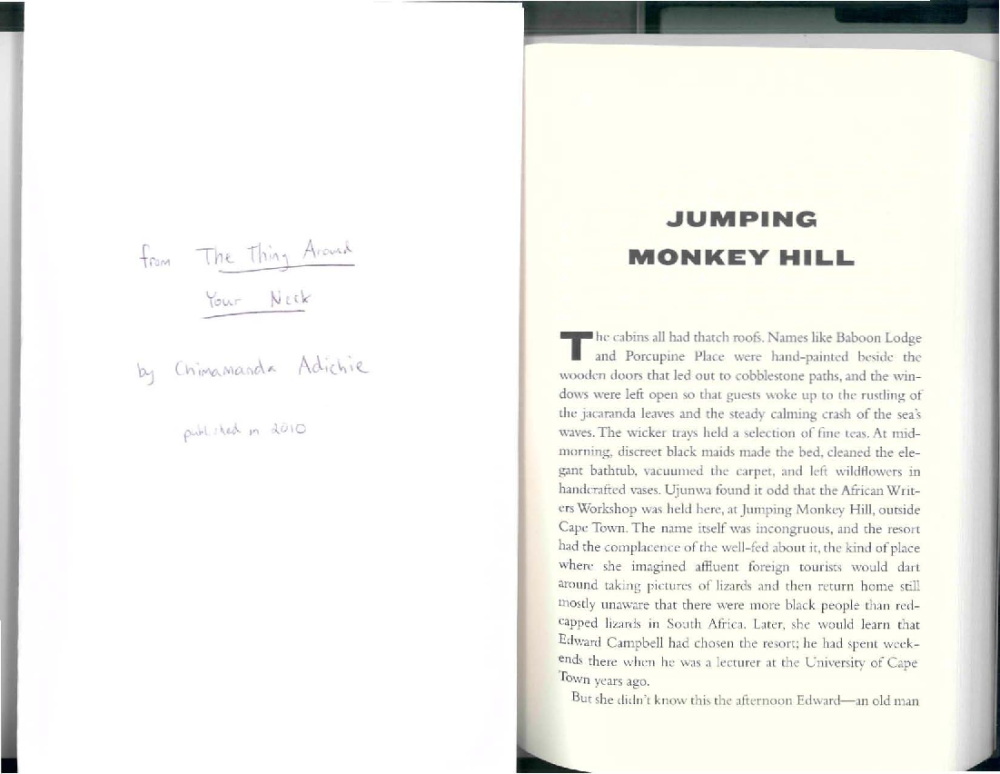 Adichie - Jumping Monkey Hill - pdf Docer.com.ar