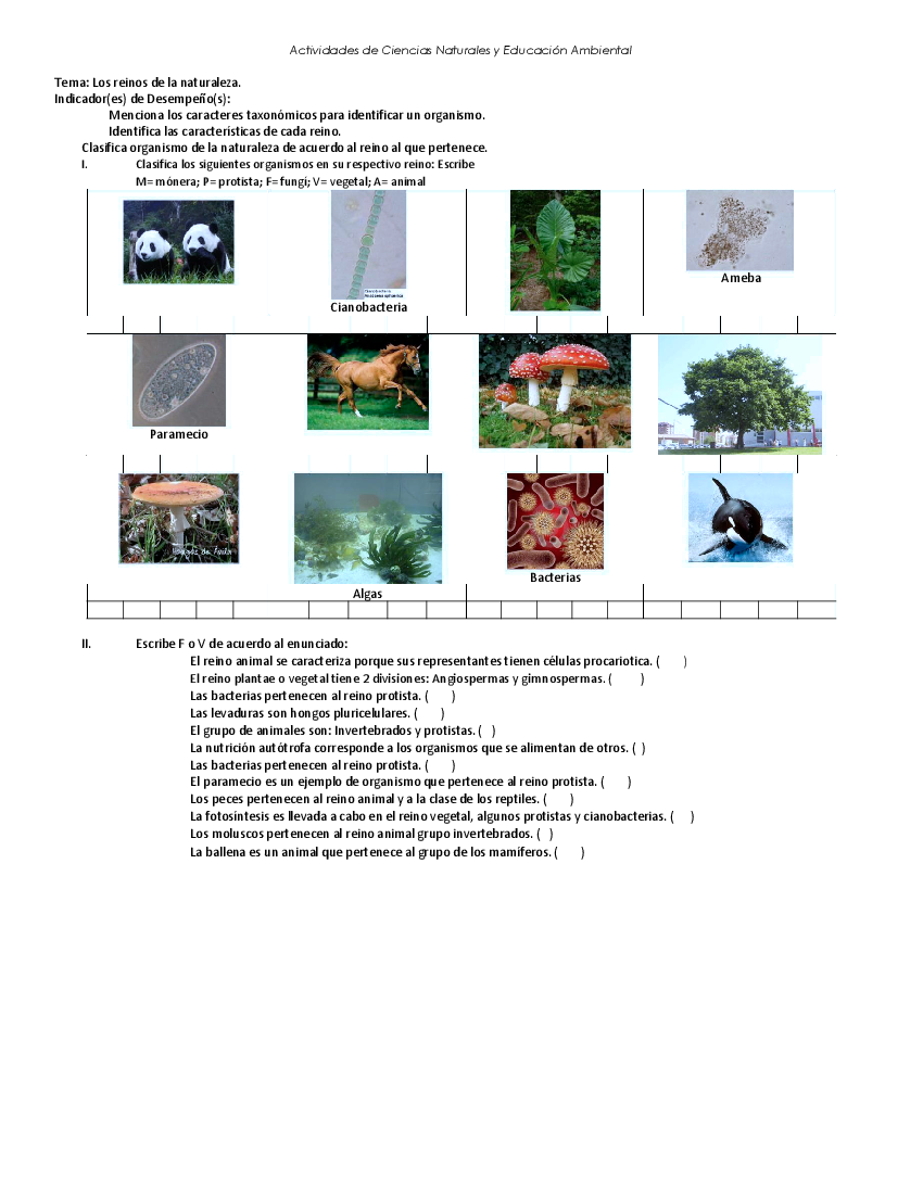 Actividades De Ciencias Naturales Pdf Docer Com Ar