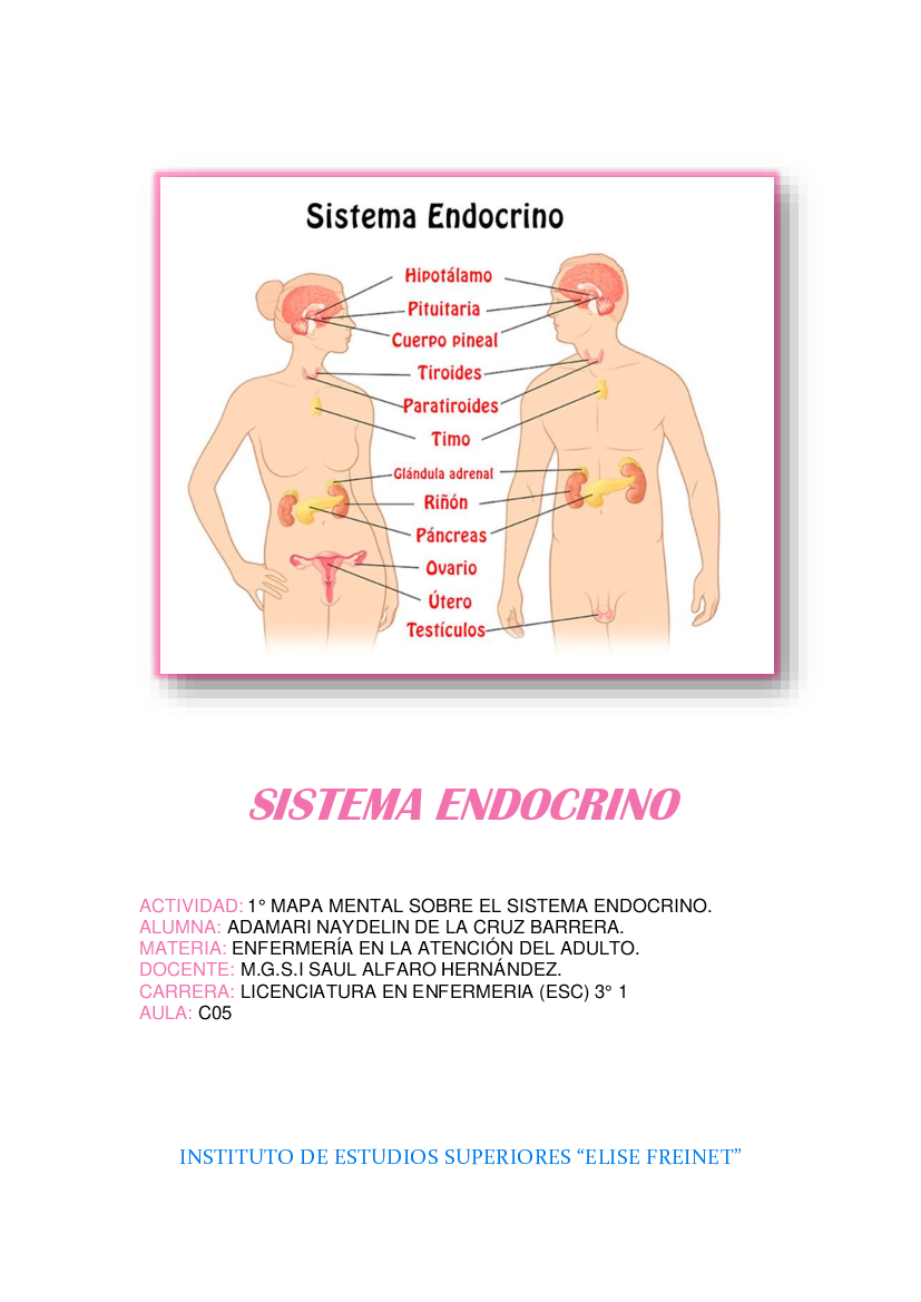 MAPA MENTAL DEL SISTEMA ENDOCRINO. - pdf 