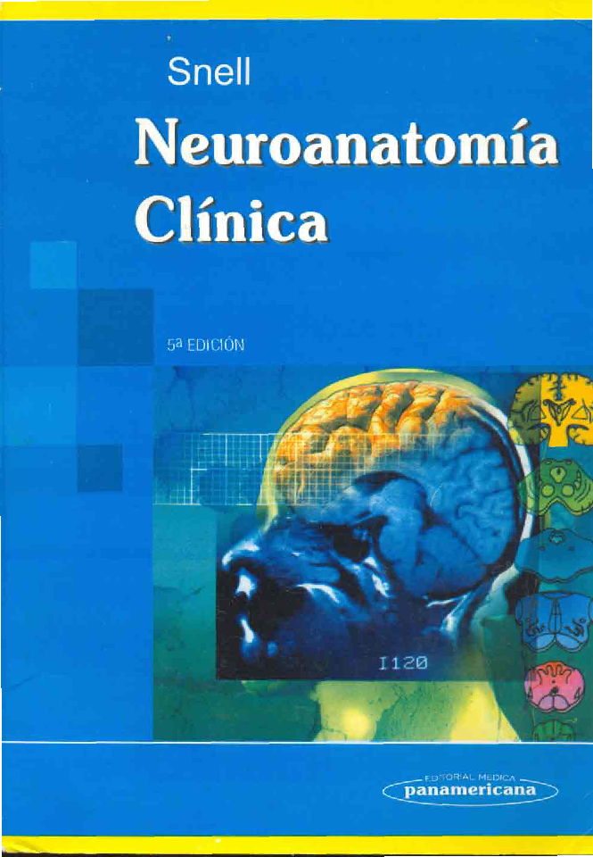 neuroanatomia de snell 7ma edicion pdf gratis