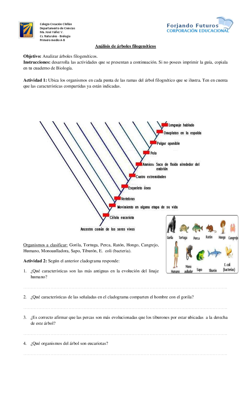 Biologia 1ºmedio Guia4 Pdf Docer Com Ar