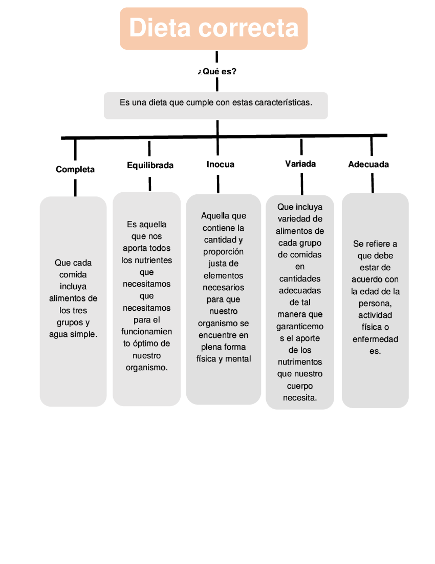 Mapa Conceptual De La Dieta Correcta Donos 0281