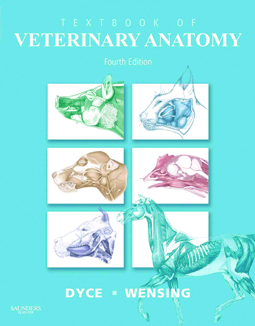 √ Saunders Veterinary Anatomy Coloring Book Anatomy Coloring Books