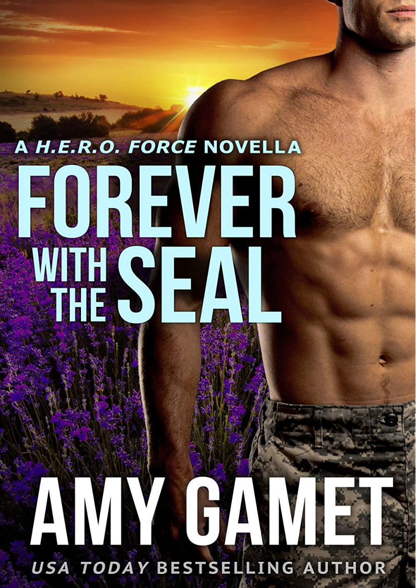 Stranded with the SEAL by Amy Gamet