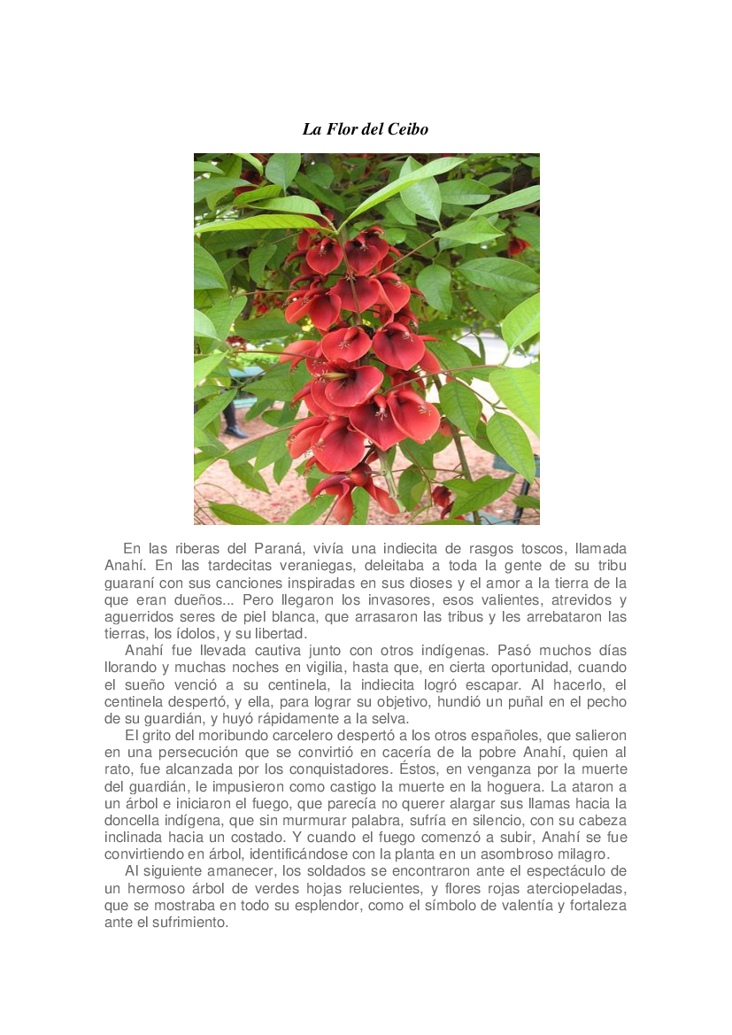 La Flor del Ceibo - pdf 