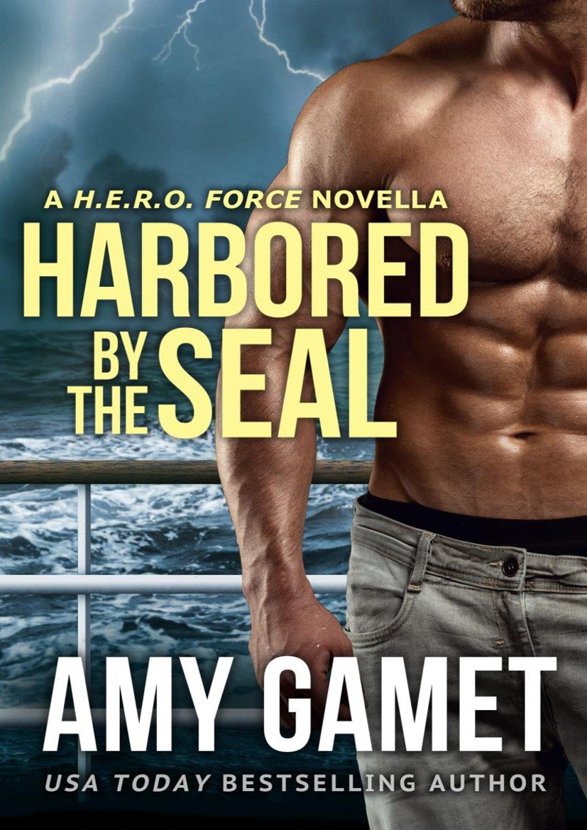 Stranded with the SEAL by Amy Gamet