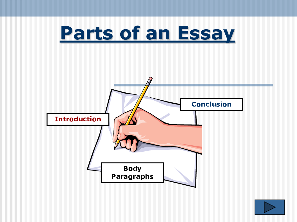 Main body. Introduction conclusion. Introduction body conclusion. Parts of essay. Introduction main Part conclusion.