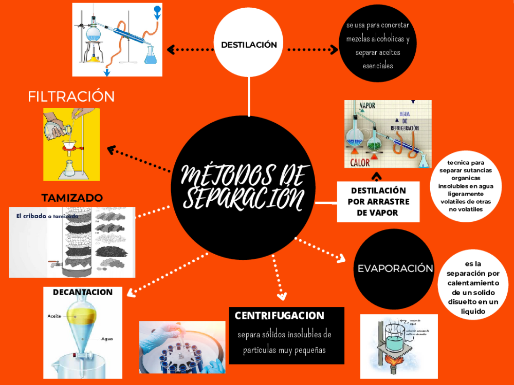 Naranja Formas Simple Creación de Sitio Web Mapa Mental - pdf 