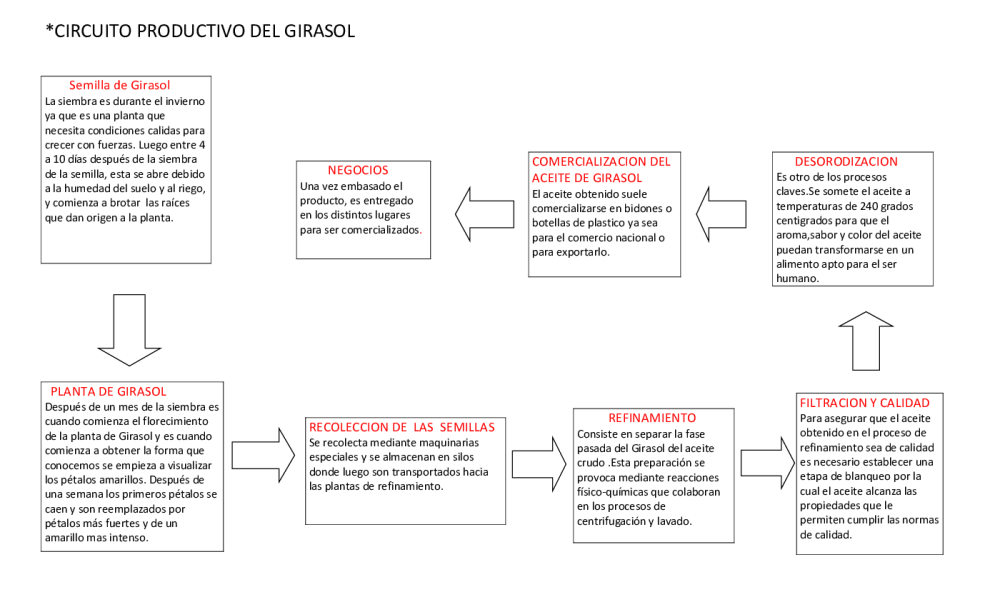CIRCCUITO PRODUCTIVO DEL GIRASOL - pdf 