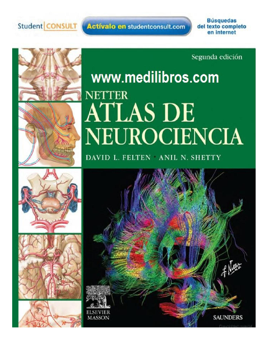 Netter Atlas De Neurociencia 2Ed - pdf 