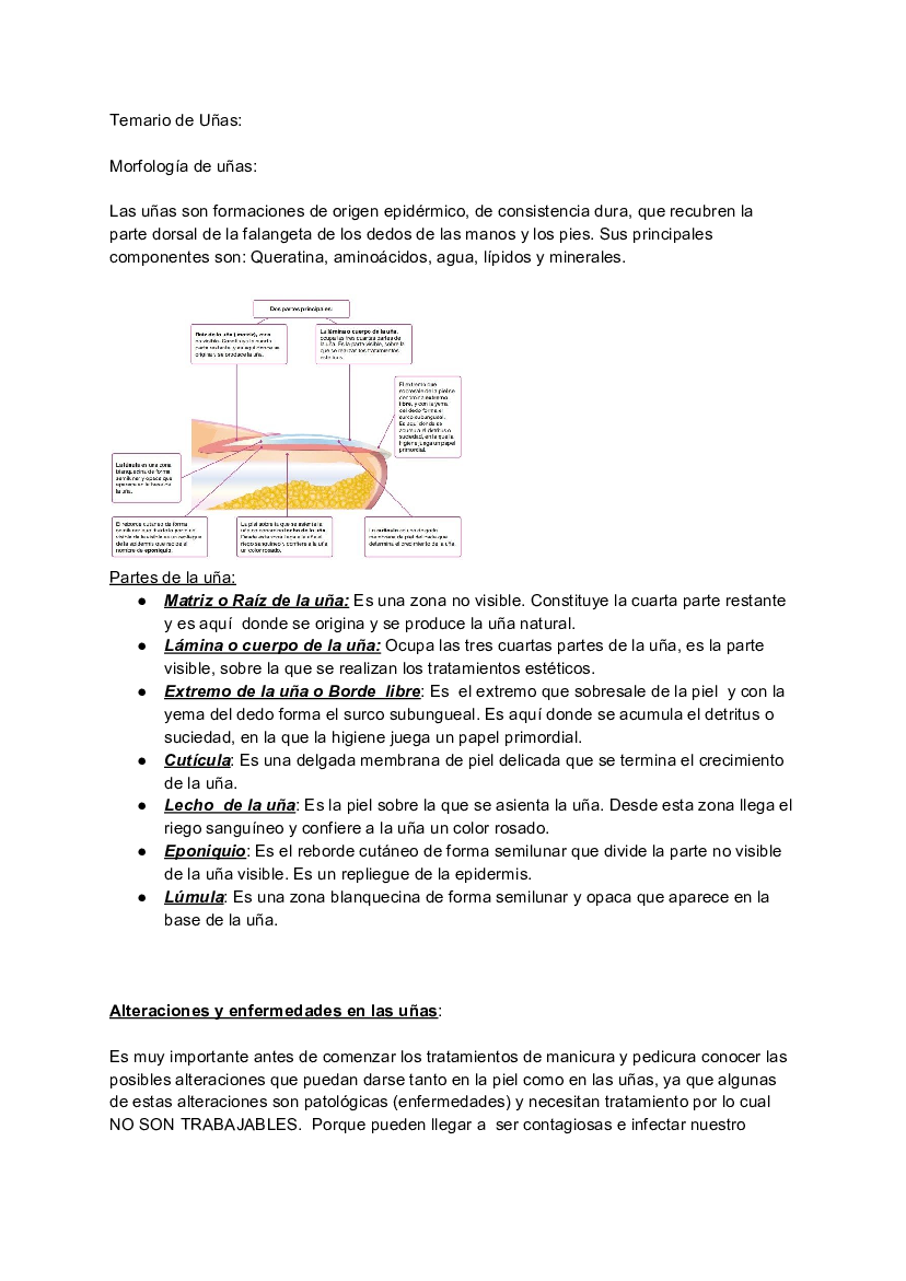 Morfologia de uñas - pdf 