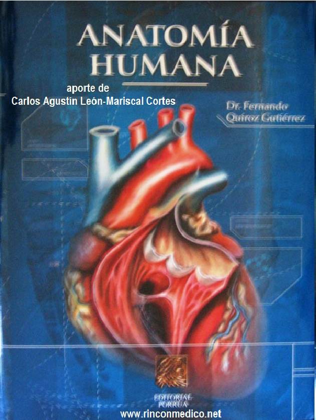 anatomia humana pdf