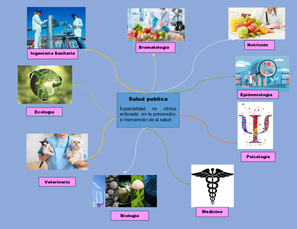 Tarea 6 Mapa mental Salud Publica - pdf 