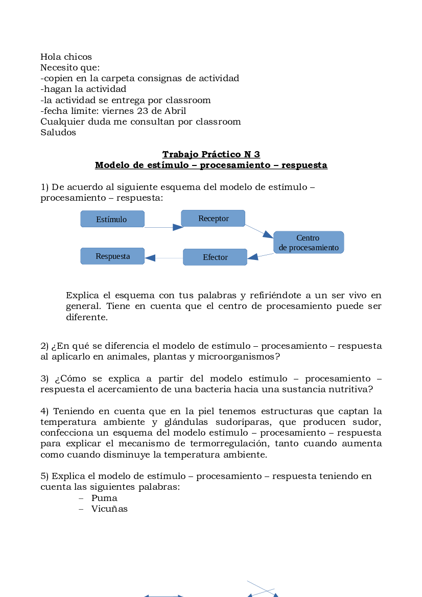 Actividad N 3 Modelo de estímulo- procesamiento - respuesta Tecnica 2021 -  pdf 