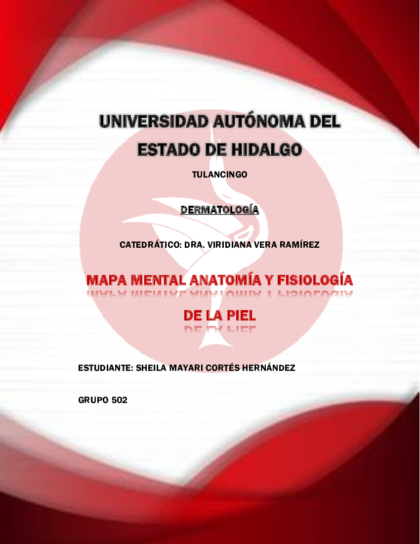 MAPA MENTAL 1 - ANATOMÍA Y FISIOLOGÍA DE LA PIEL - pdf 