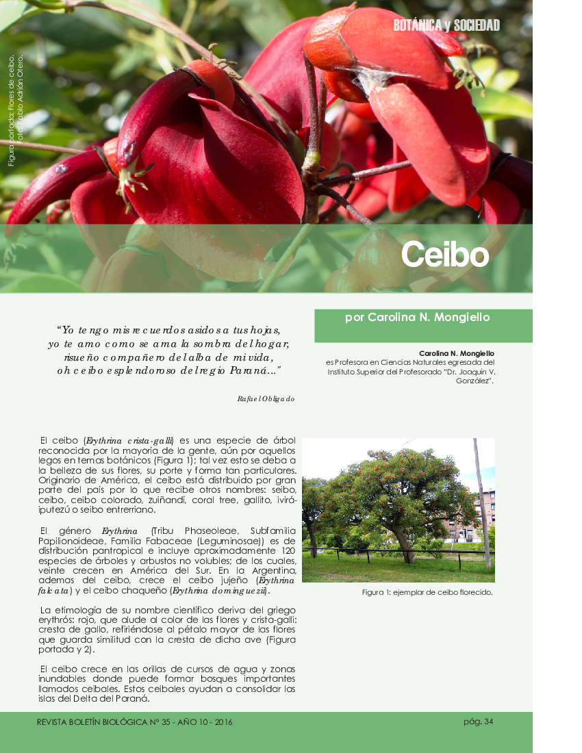 botanica y sociedad (35) - PDF 