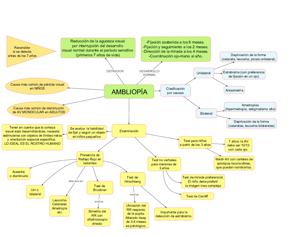 Folio Nº7 Mapas Conceptuales - pdf 