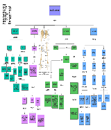 Mapa conceptual de la Osteología del Miembro superior - pdf 