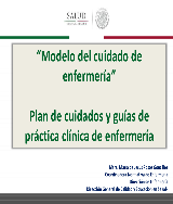 PLATICA GENERAL MODELO DEL CUIDADO - pdf 