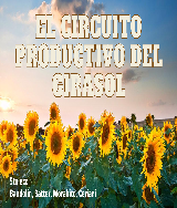 Circuito productivo del Girasol - pdf 