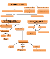 MAPA MENTAL DE LOS NUMEROS REALES - pdf 