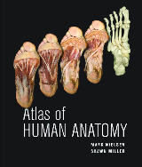 principles of human anatomy and physiology tortora 12th pdf