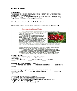 Leyenda de la flor del ceibo 5to - pdf 