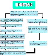 JAIMES MARTINEZ MARIA GUADALUPE - Actividad 9 Mapa Conceptual - pdf  