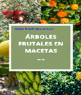 01. CURSO - ÁRBOLES FRUTALES EN MACETAS - pdf Docer.com.ar