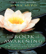 mark nepo book of awakening pdf