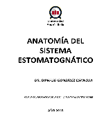 sistema estomatognatico arturo manns pdf